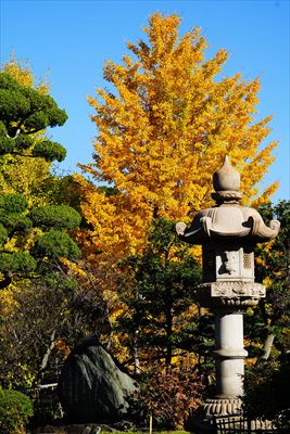 1136_神戸市須磨寺_兵庫
