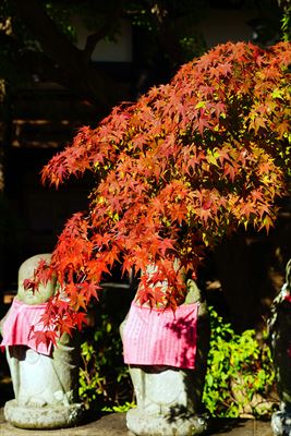 1138_神戸市須磨寺_兵庫