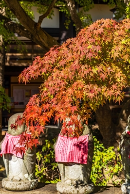 1138_神戸市須磨寺_兵庫