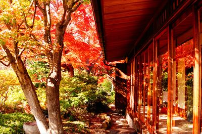 神戸市須磨離宮公園_兵庫