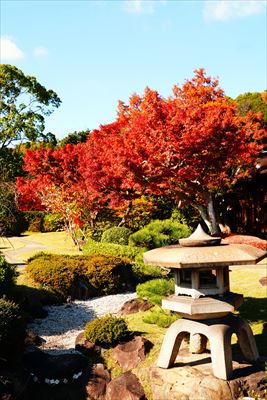 1147_神戸市須磨離宮公園_兵庫