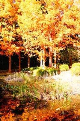 1149_神戸市須磨離宮公園_兵庫