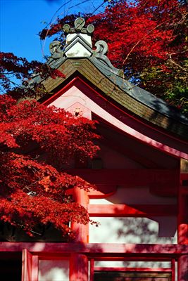 1172_春日大社_奈良