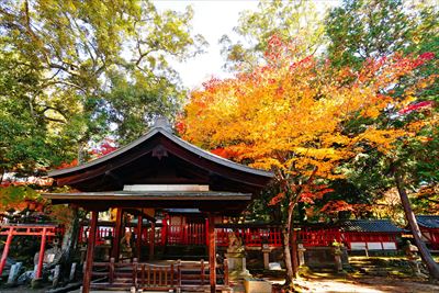 1178_手向山八幡宮_奈良