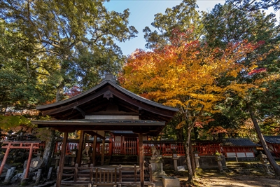 1178_手向山八幡宮_奈良