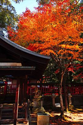 1179_手向山八幡宮_奈良