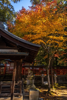 1179_手向山八幡宮_奈良