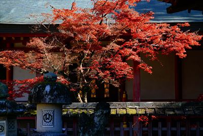 1180_手向山八幡宮_奈良