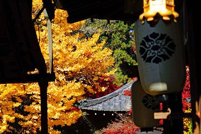 1183_手向山八幡宮_奈良