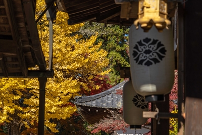 1183_手向山八幡宮_奈良