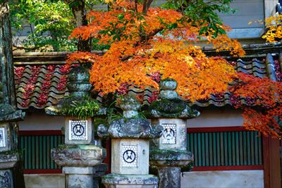 1184_手向山八幡宮_奈良
