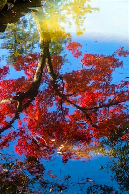 1189_東大寺法華堂_奈良