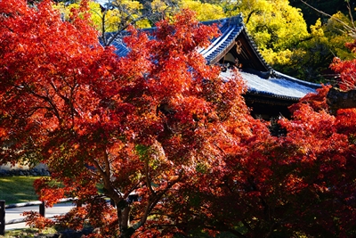 1197_東大寺大湯屋_奈良