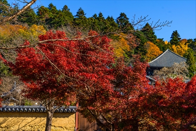 1196_東大寺二月堂_奈良