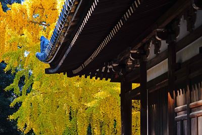 1199_東大寺大湯屋_奈良