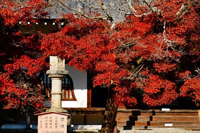 1200_東大寺指図堂_奈良
