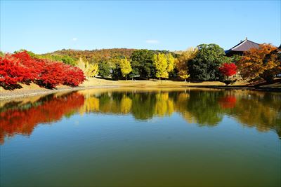 1204_東大寺大仏池_奈良