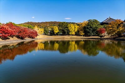 1204_東大寺大仏池_奈良