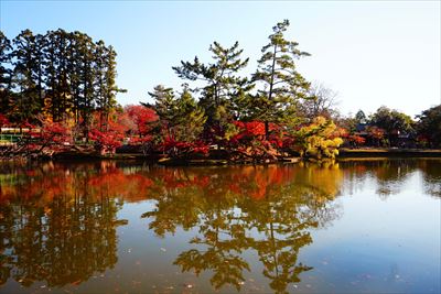 東大寺鏡池_奈良