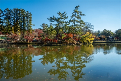 東大寺鏡池_奈良