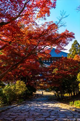1212_東大寺大仏殿_奈良