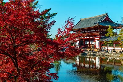 1214_東大寺大仏殿_奈良
