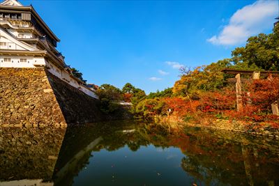 1238_北九州市小倉城_福岡
