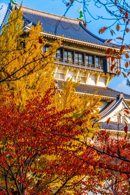 1240_北九州市小倉城_福岡