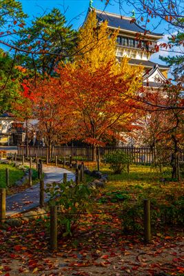 1243_北九州市小倉城_福岡