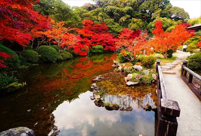 1223_下関市長府庭園_山口