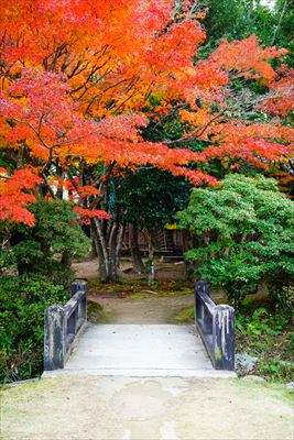 1224_下関市長府庭園_山口