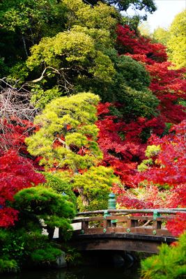 1226_下関市長府庭園_山口