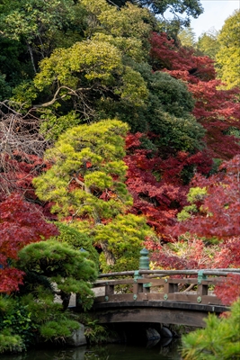 1226_下関市長府庭園_山口