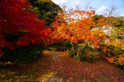 1227_下関市長府庭園_山口