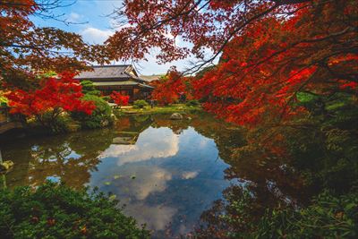 1228_下関市長府庭園_山口