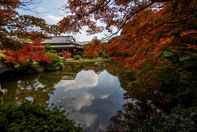 1228_下関市長府庭園_山口