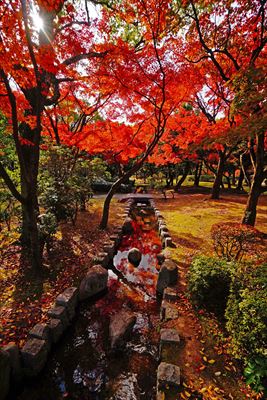 1248_東公園_福岡