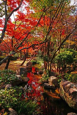 1249_東公園_福岡