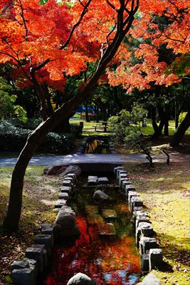 1250_東公園_福岡