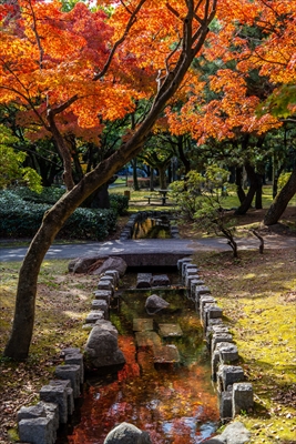 1250_東公園_福岡