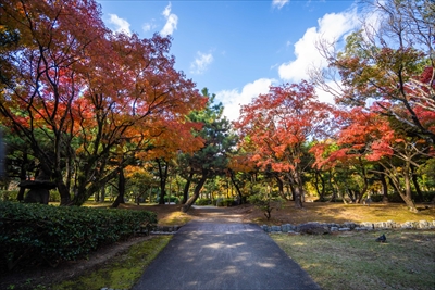 1252_東公園_福岡