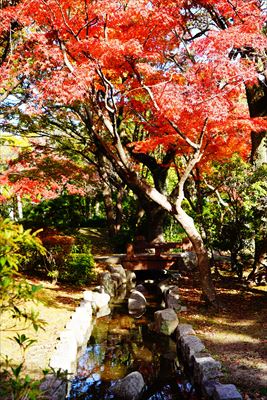 東公園_福岡
