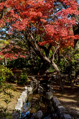 東公園_福岡