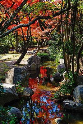 1254_東公園_福岡