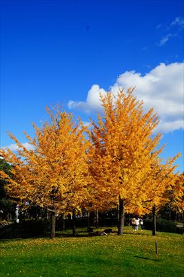 1255_東公園_福岡
