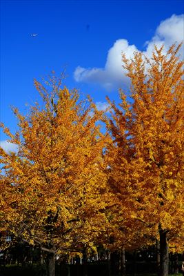 1256_東公園_福岡