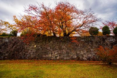 1259_舞鶴公園_福岡