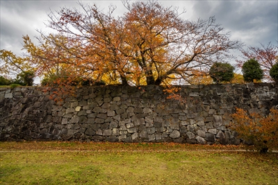 1259_舞鶴公園_福岡