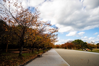 1262_舞鶴公園_福岡