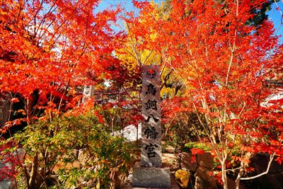 1270_鳥飼八幡宮_福岡